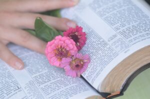 Bíblia Sagrada para Mulher